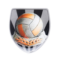CSA-13: 2D Shield Trim - Volleyball