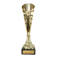  Aura Cup 