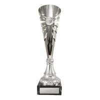  Aura Cup 