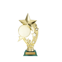 D24-5313 : Star