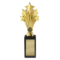 Star Award