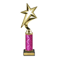 Star Award