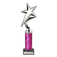 Star Award