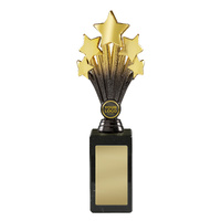 Star Award