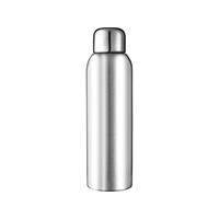 E4082S: Stainless Sports Bottle