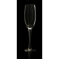 ELITE1: Champagne Flute-225ml-Indiv. Boxed