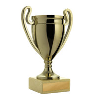  Cup