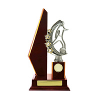 F24-3008CH: Timber Buildup Football