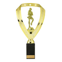  Netball Fig. on Column