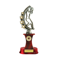  Netball Fig. on Column