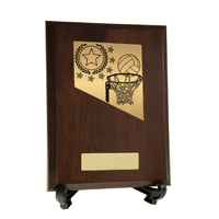  Plaque with Netball Trim