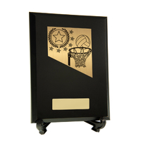  Plaque with Netball Trim