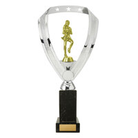 Netball Fig. on Column