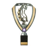 N24-2015 : Netball Fig. on Column