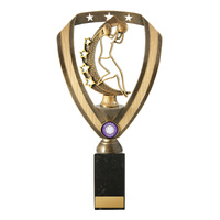 N24-2040-hero: Netball Fig. on Column