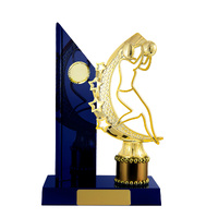 N24-2202RB: Timber Buildup Netball