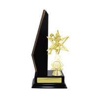 N24-2206DK : Timber Buildup Netball