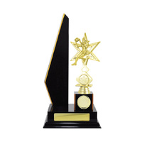 N24-2207DK : Timber Buildup Netball