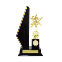 N24-2208DK : Timber Buildup Netball