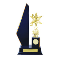 N24-2208RB : Timber Buildup Netball