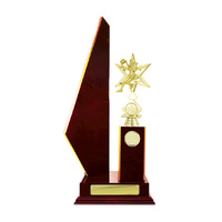 N24-2210CH: Timber Buildup Netball