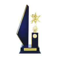 N24-2210RB: Timber Buildup Netball