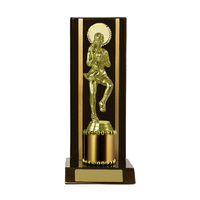 N24-2212DK : Timber Buildup Netball