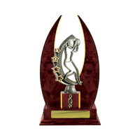 N24-2215CH : Timber Buildup Netball