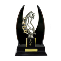 N24-2215DK : Timber Buildup Netball