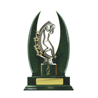 N24-2215GN : Timber Buildup Netball