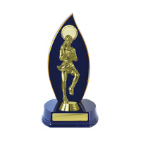 N24-2301RB : Timber Buildup Netball