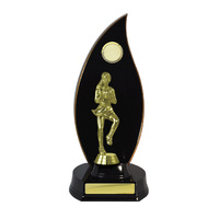 N24-2303DK : Timber Buildup Netball