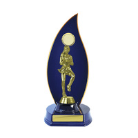 N24-2303RB : Timber Buildup Netball