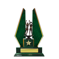 N24-2305GN : Timber Buildup Netball