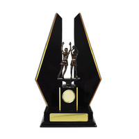 N24-2306DK: Timber Buildup Netball