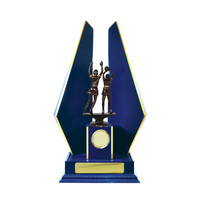 N24-2306RB: Timber Buildup Netball