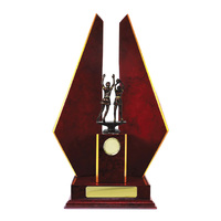 N24-2308CH : Timber Buildup Netball