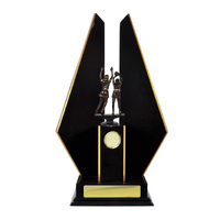 N24-2308DK : Timber Buildup Netball