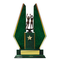 N24-2308GN : Timber Buildup Netball