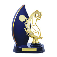 N24-2414RB : Timber Buildup Netball