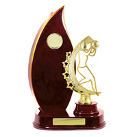 N24-2415CH: Timber Buildup Netball