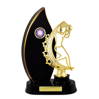 N24-2415DK: Timber Buildup Netball