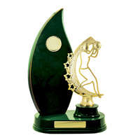 N24-2415GN: Timber Buildup Netball