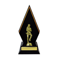 N24-2501 : Timber Buildup Netball