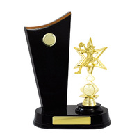 N24-2506DK : Timber Buildup Netball