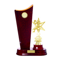 N24-2507CH: Timber Buildup Netball