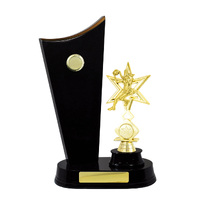 N24-2507DK: Timber Buildup Netball