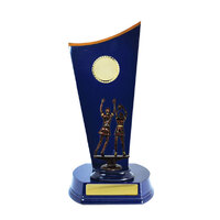 N24-2513RB : Timber Buildup Netball