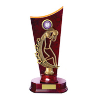 N24-2517CH-hero: Timber Buildup Netball