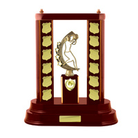 N44WGC: Timber Buildup Netball
